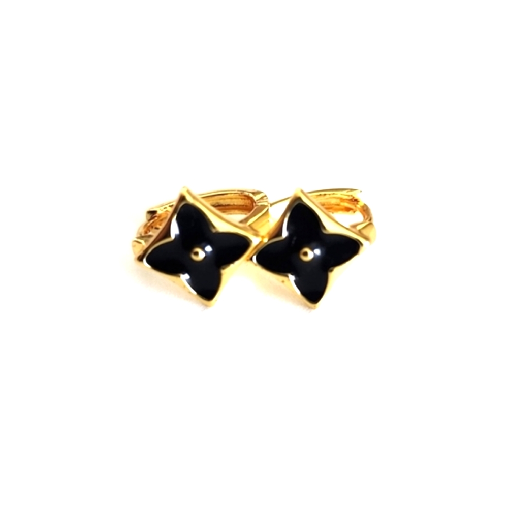 Fashion Earrings